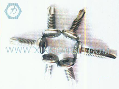 不锈钢大扁头螺丝