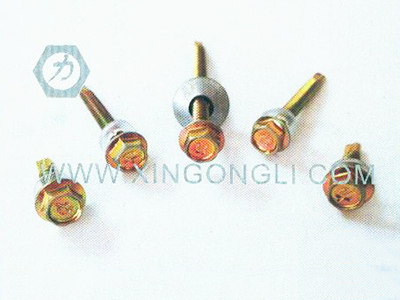 六角华司+连体垫片